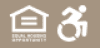 footer_icons